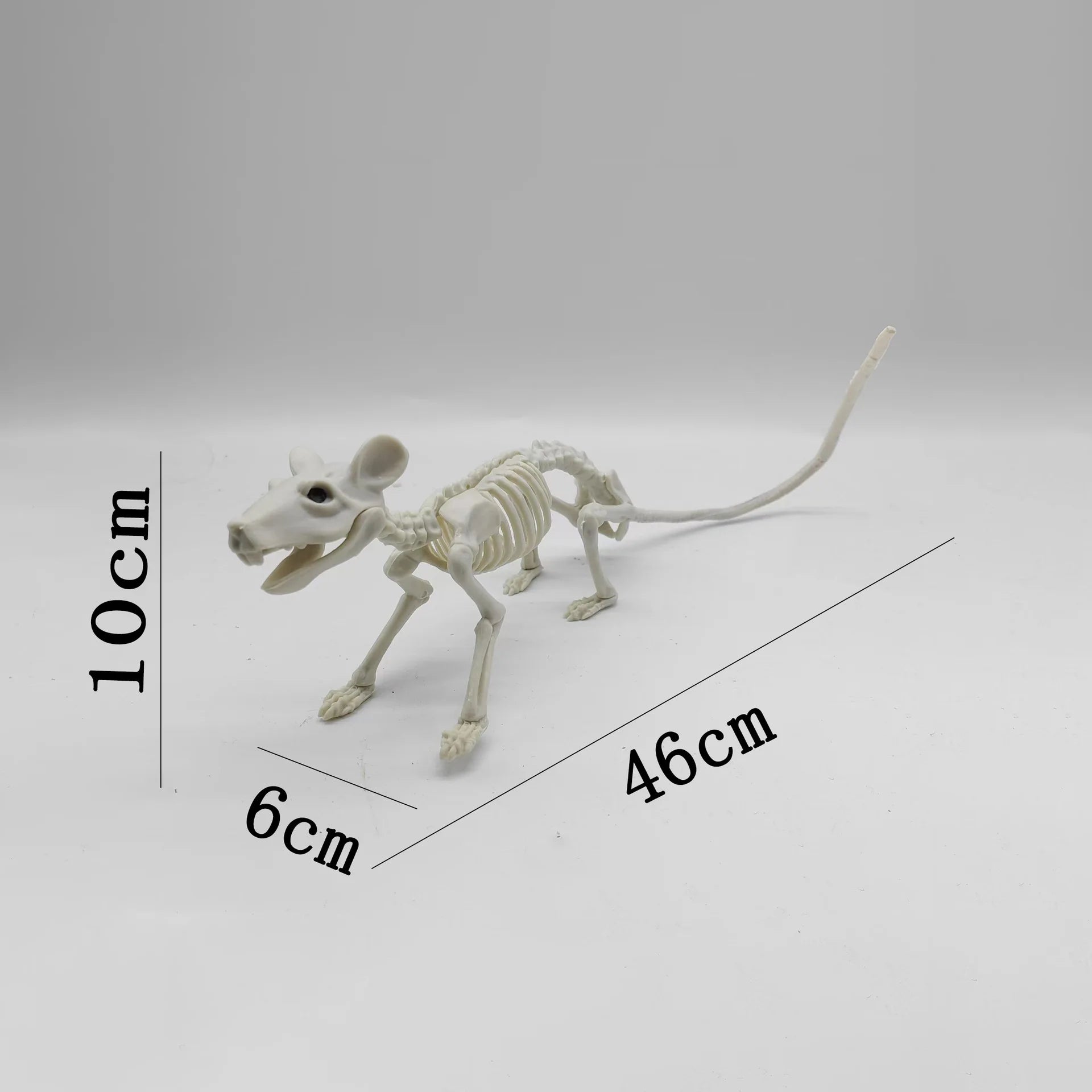 Halloween Animal Skeleton Cat and Mouse Skeleton Skeleton Model Halloween Horror