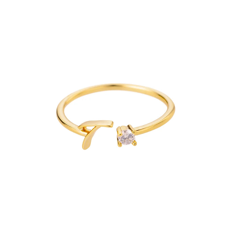 Initial Ring