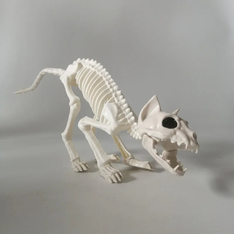 Halloween Animal Skeleton Cat and Mouse Skeleton Skeleton Model Halloween Horror