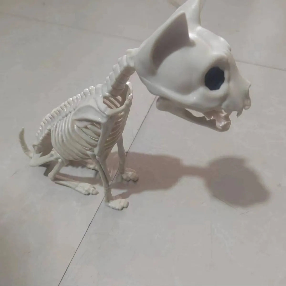 Halloween Animal Skeleton Cat and Mouse Skeleton Skeleton Model Halloween Horror