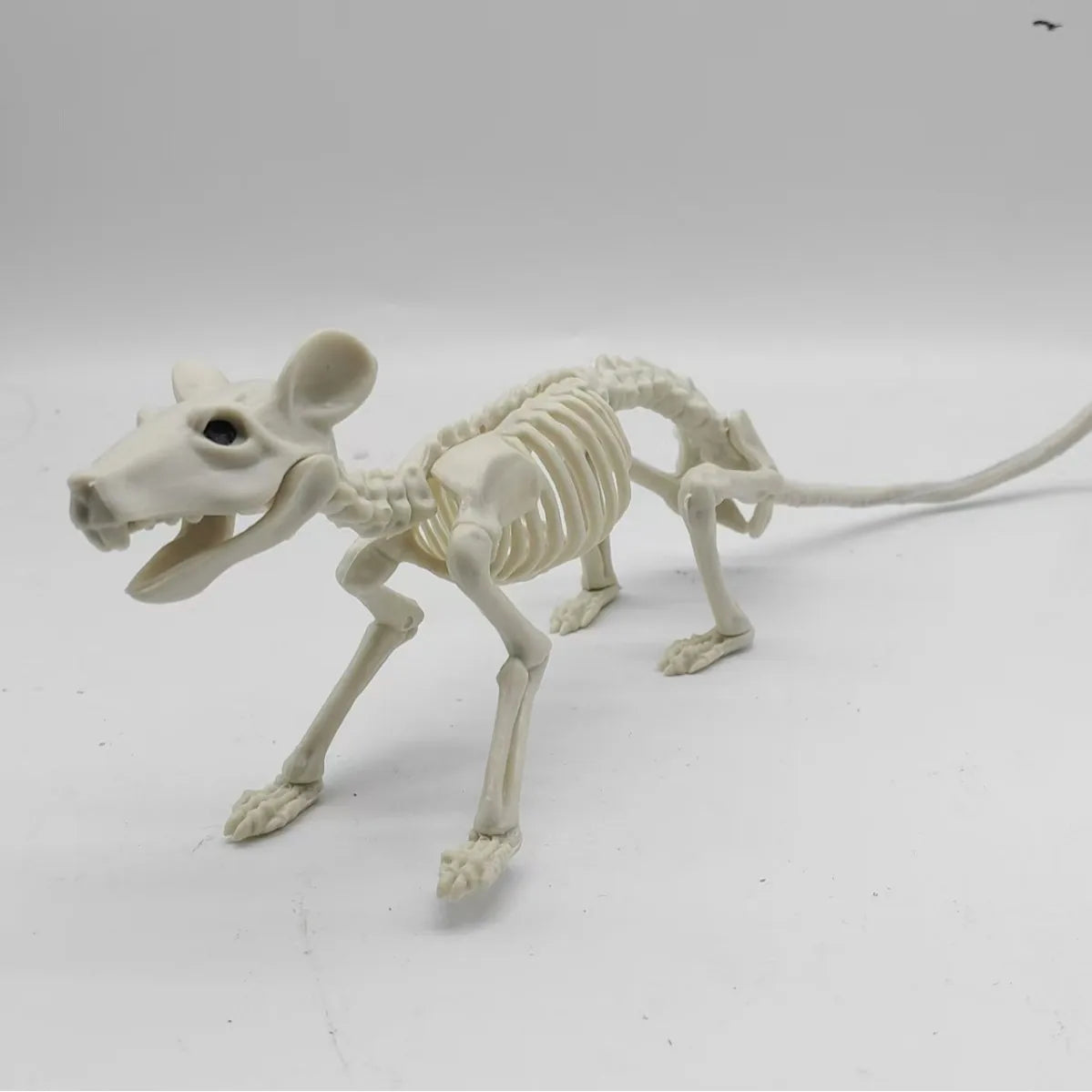 Halloween Animal Skeleton Cat and Mouse Skeleton Skeleton Model Halloween Horror